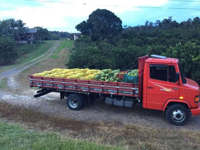 Fazenda na br 174 com 2500 x 5000