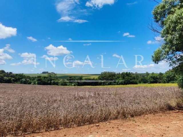 Sítio para Venda em Floresta, Gleba Ribeirão Caxias