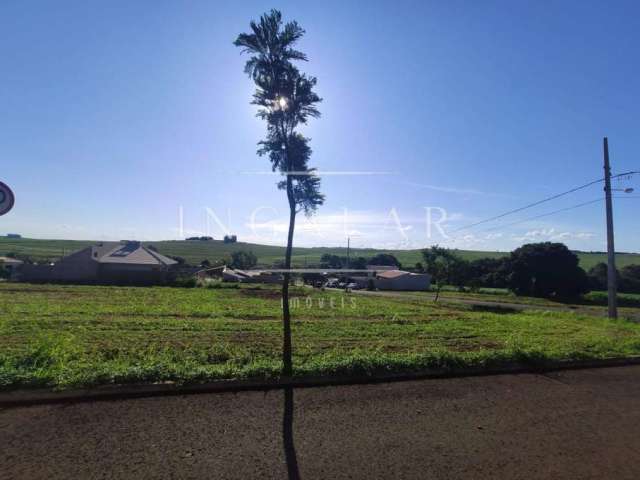 Terreno para Venda em Floresta, Nova Floresta I