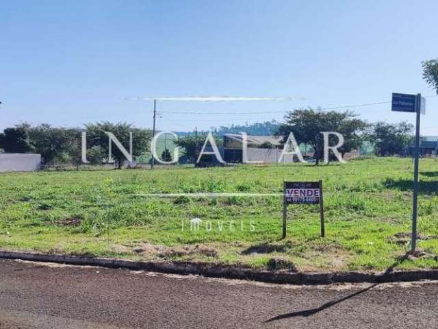 Terreno para Venda em Floresta, Nova Floresta I