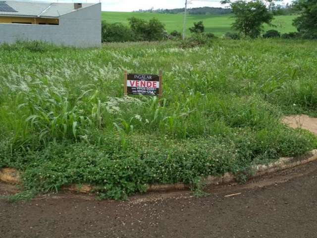 Terreno para Venda em Floresta, Nova Floresta I