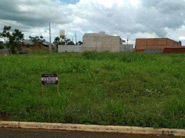 Terreno para Venda em Floresta, Nova Floresta I