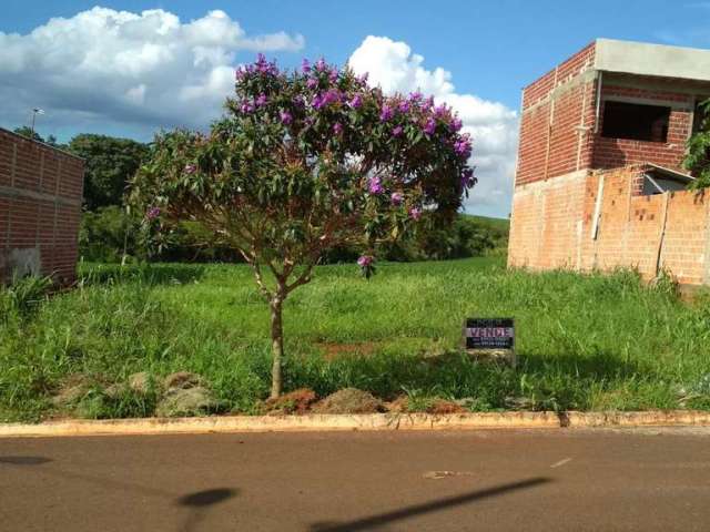 Terreno para Venda em Floresta, Nova Floresta I