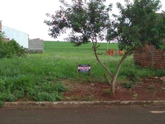 Terreno para Venda em Floresta, Jardim Mônaco