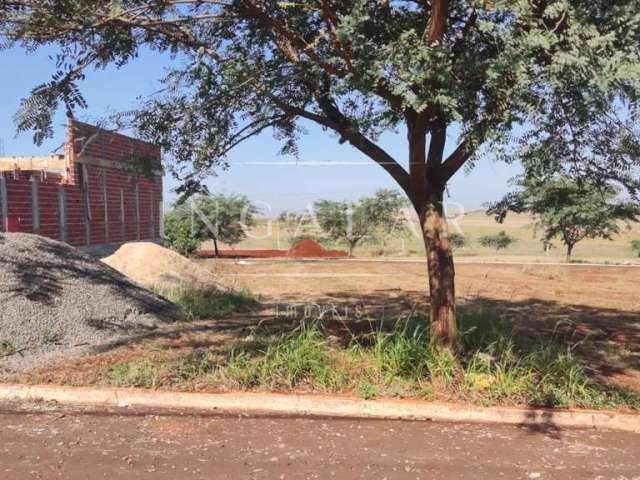 Terreno para Venda em Floresta, Nova Floresta I