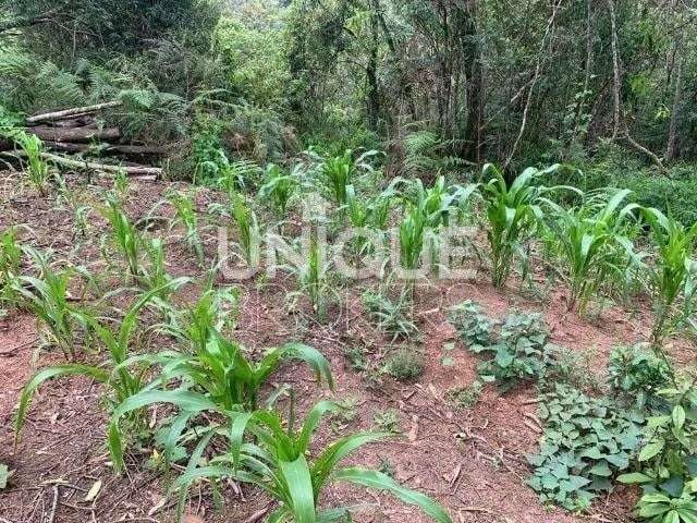 Lote/Terreno, Chácara São João - Campo Limpo Paulista