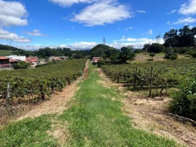 Área rural para venda no bairro traviú - jundiaí/sp