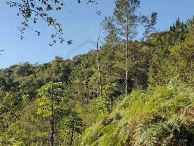 TERRENO COM UMA ÁREA DE 1.226m² EM CONDOMÍNIO