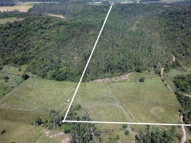 Incrível terreno de 22 hectares em canelinha