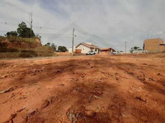 TERRENO DE 338m² NO CENTRO DE GUABIRUBA