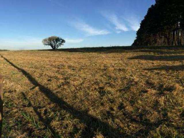 Terreno à venda 55000m² - na beira da Rodovia Castelo Branco km 90 - ao lado da fabrica da Toyota em Sorocaba/SP (zona industrial)