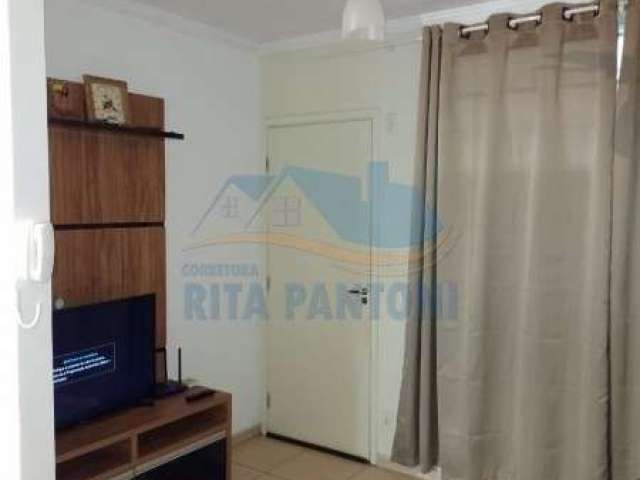 Apartamento - Ribeirão Preto - Jardim  Antônio Palocci - Região Norte