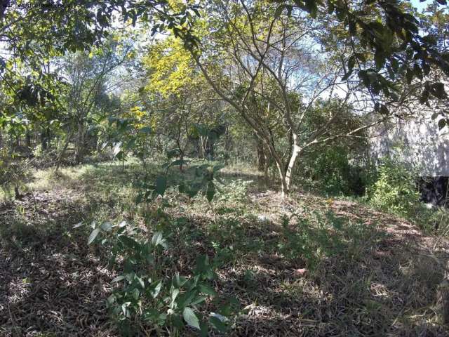 Terreno para Venda em Santana de Parnaíba, Chácara das Garças