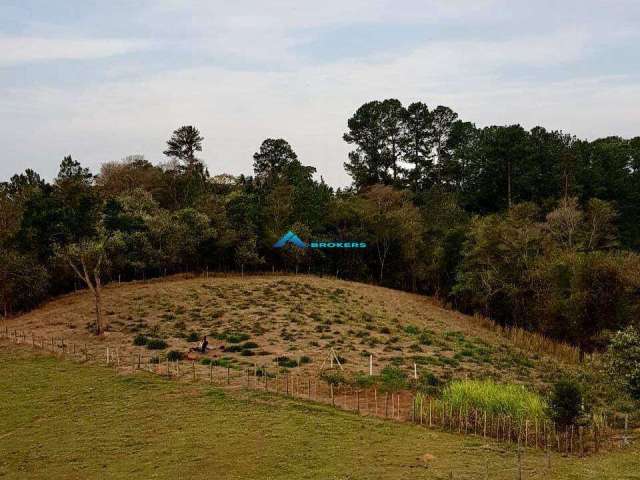 Terreno pronto para chácara no Bairro do Guacuri - Itupeva/S.P