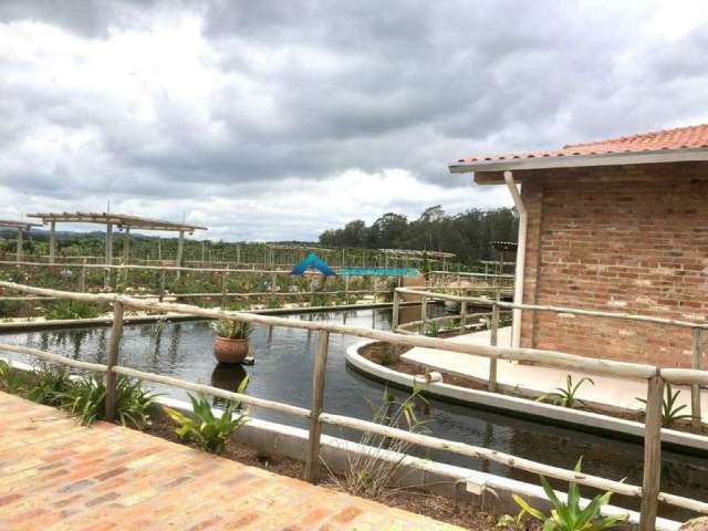 Área a Venda com 117.000.00 m² contando com uma Parreira com uvas especiais c/ infraestrutura