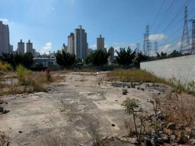 Terreno para Locação São Bernardo do Campo