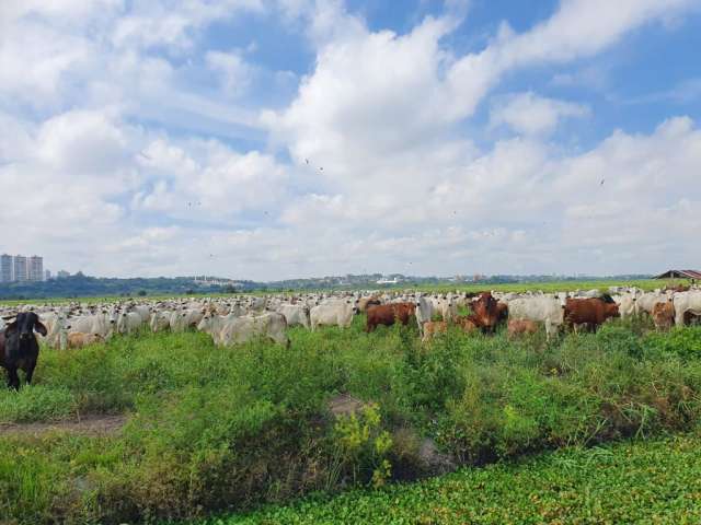 Fazenda plana no Vale do Paraiba