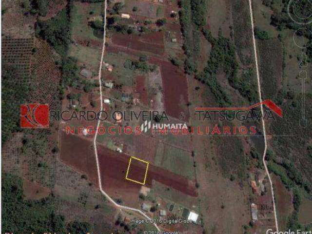 Chácara à venda, 3000 m² por R$ 200.000,00 - Conjunto Habitacional Jamile Dequech - Londrina/PR