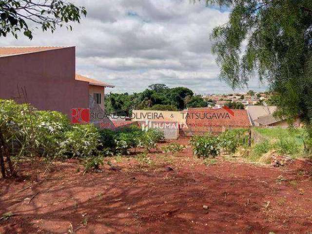 Terreno à venda, 250 m² por R$ 105.000,00 - Jardim das Palmeiras - Londrina/PR