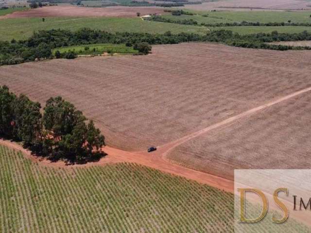 Excelente fazenda a venda em itaí/sp, com área total de 68 alqueires, topogragia plana a levemente ondulada, terra vermelha e proxima a cidade