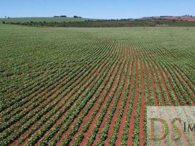 Excelente fazenda a venda em itaí-sp, área total de 50 alqueires,  terra vermelha, topografia plana a semi plana, casa sede e barracão