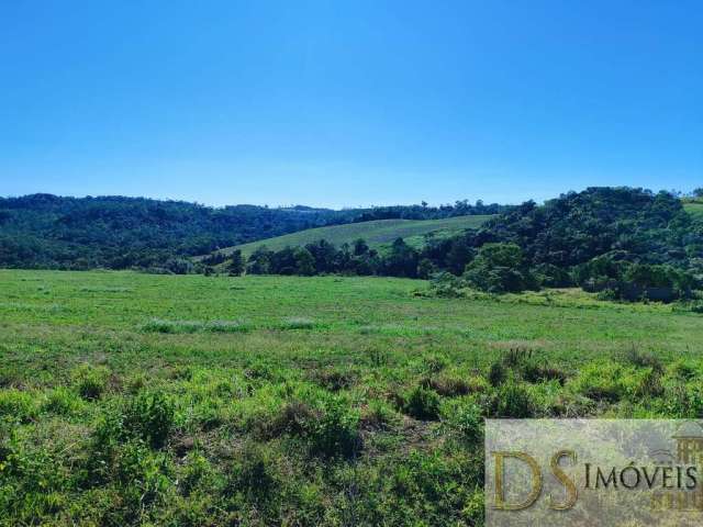 Fazenda a venda na região de itapetininga-sp, formada em lavoura e pasto, área total de 50 alqueires, topografia ondulada e declive sentido água