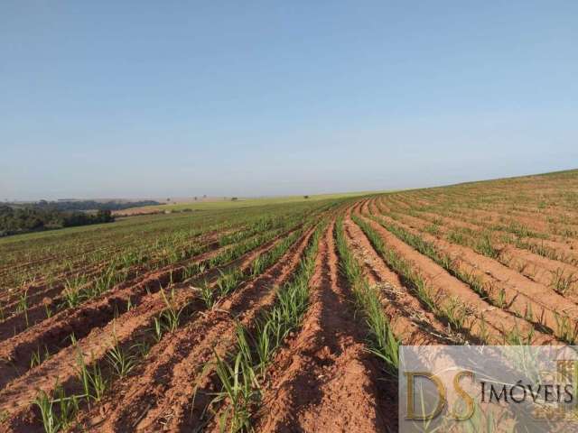 Fazenda em cana a venda na região de lins/sp, com 117 alqueires, sendo 80 alqueires em cana, ótima topografia e boa em água