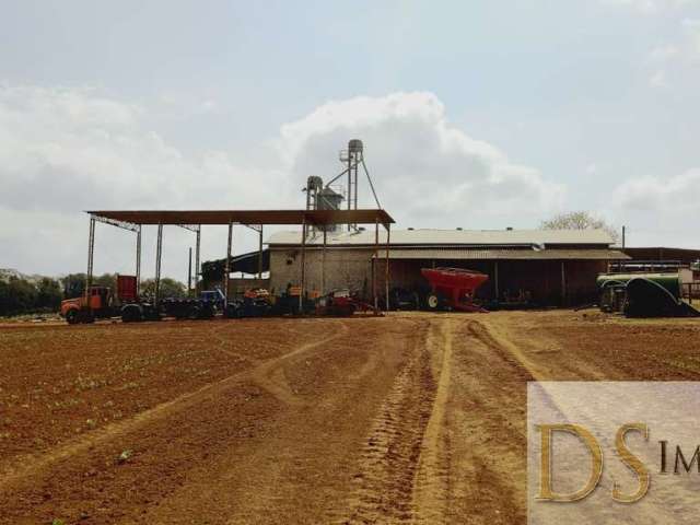 Excelente fazenda a venda na região de itapetininga/sp, com área total de 80 alqueires, sendo 40 em lavoura, terra vermelha a mista e benfeitorias