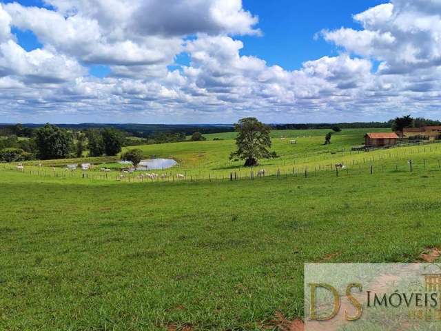 Oportunidade única! Fazenda de 39 alqueires em Itapetininga-SP com estrutura completa para agricultura e pecuária.