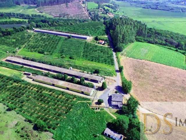 Sítio com granja a venda na região de sorocaba/sp: 15,80 alqueires de área com aviários e ótima logística