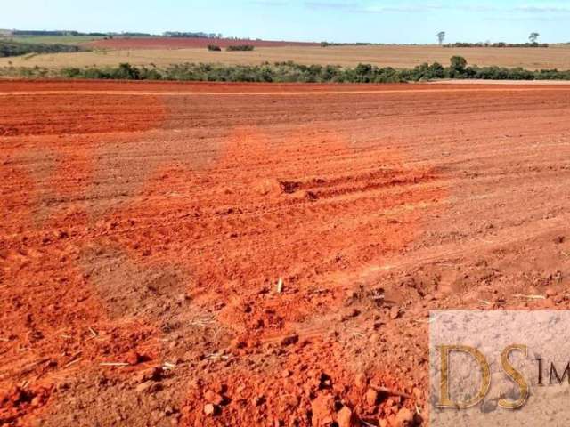 Excelente fazenda em cana à venda em presidente prudente/sp: 1.275 alqueires de oportunidade