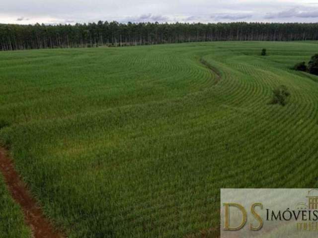 Fazenda de 80 alqueires em tatuí/sp: área em cana, benfeitorias completas e documentação 100% em ordem!