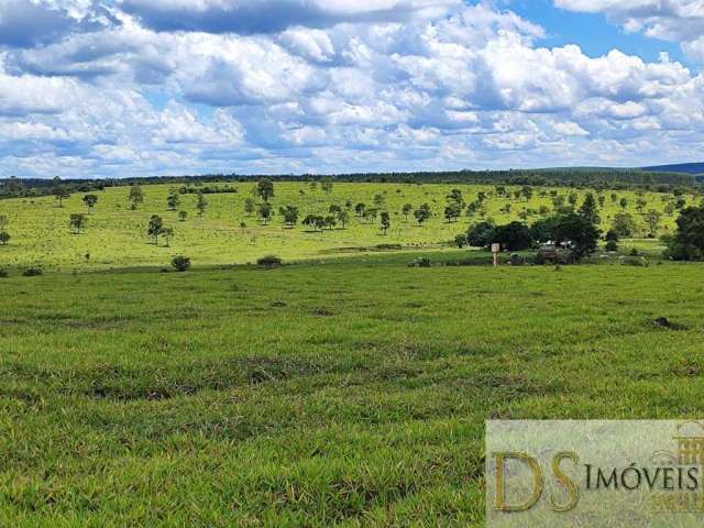 Oportunidade única! Fazenda de 294 alqueires à venda em Botucatu/SP, com potencial para gado, agricultura e mais. Aproveite!