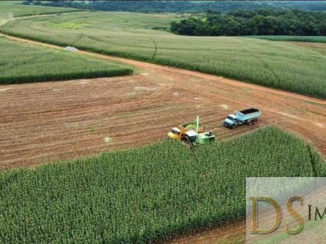 Fazenda Leiteira e Laticínio de 244,5 Alqueires à Venda na região de Itapetininga/SP - Excelente Oportunidade!