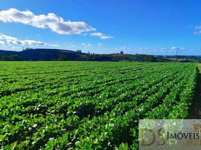 Sítio de 22 alqueires à venda em Itapetininga-SP: Imperdível oportunidade de investimento!