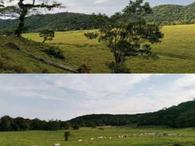 Fazenda à venda na Iguapé, Centro, Iguape por R$ 6.000.000