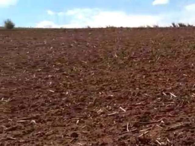 Fazenda à venda na Rua 1 de Maio, 023, Centro, Itapira por R$ 7.150.000