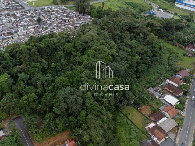 Terreno à venda, 16132 m² por R$ 1.400.000,00 - Vila Lenzi - Jaraguá do Sul/SC