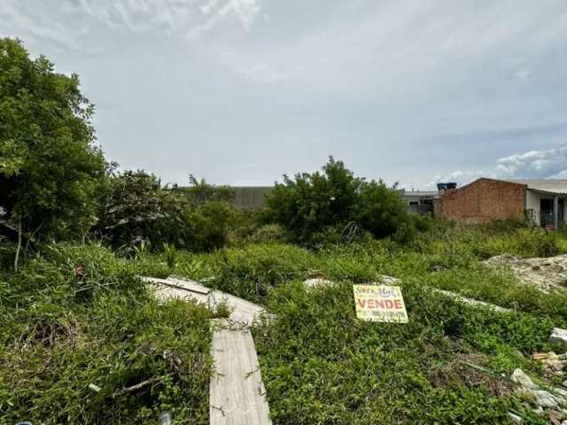 T304 Terreno em região de moradores