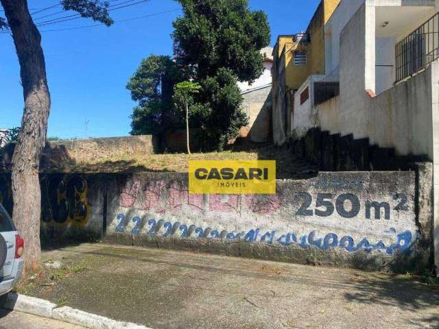 Terreno à venda, 257 m²  Rudge Ramos - São Bernardo do Campo/SP