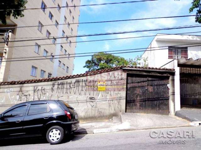 Terreno Residencial à venda, Vila Luiz Casa, São Bernardo do Campo - TE3727.