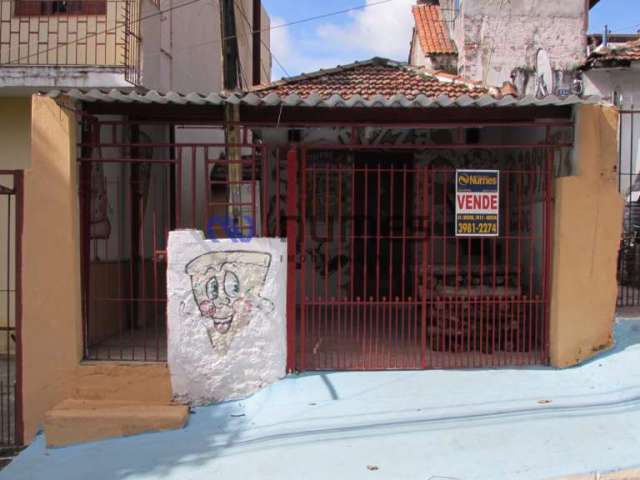 Lote / Terreno em Vila Celeste  -  São Paulo