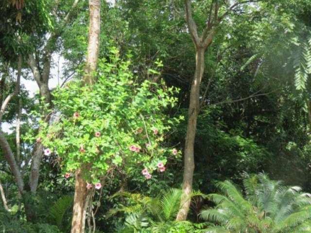 Lote para Venda em Niterói, Maria Paula