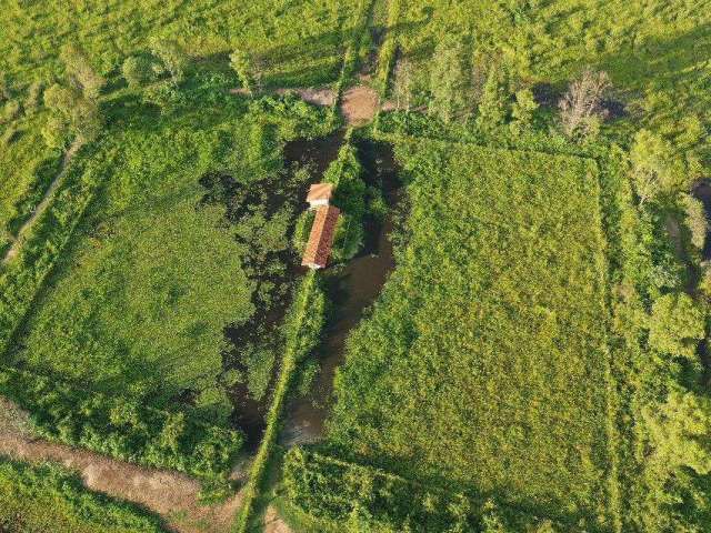 Linda fazenda para venda em Corumba-MS, com 1.620 hectares em pastagem, rio na propriedade, muitas benfeitorias