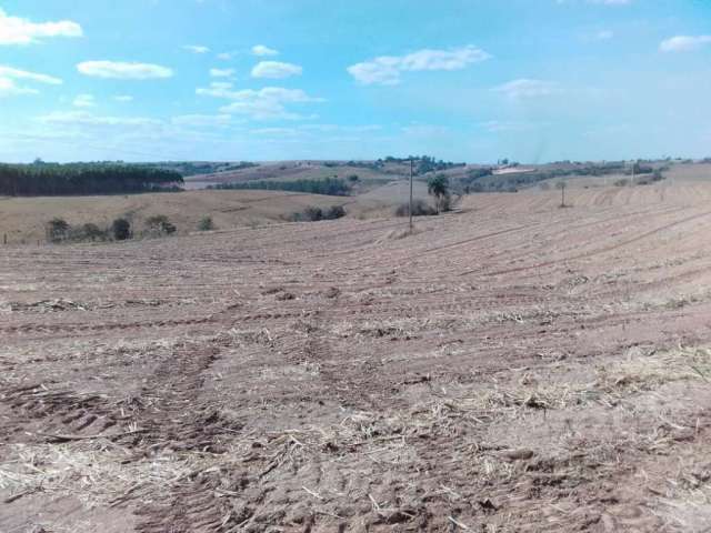 Fazenda para venda na região de Piracicaba-SP, com 42 alqueires sendo 34 alqueires em cana arrendada, aproveitamento 80%, beira do asfalto