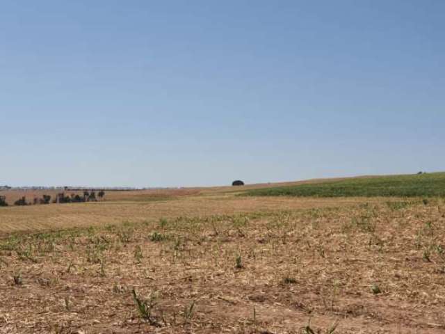 Fazenda para venda na região de Vargem Grande do Sul-SP, com 50 alqueires sendo 34 alqueires em cana arrendada, represas, benfeitorias