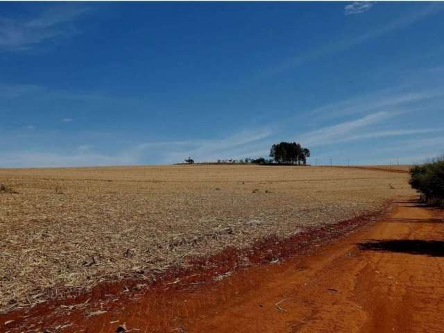 Fazenda para venda na região de Franca-SP com 430 alqueires sendo 320 alqueires em cana arrendada, pode plantar soja, boa de agua