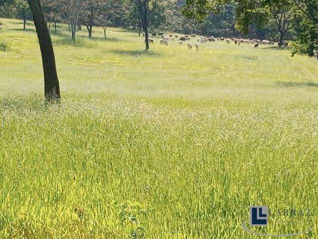 Sitio para venda na região de Ribeirão Preto-SP com 23,85 alqueires, pecuária, mandioca e granja, porteira fechada, semoventes, veículos e ferramentas