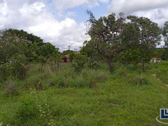 Sitio dupla aptidão para venda em Floriano-PI com 70,5 hectares, atual na pecuária, terra boa para lavoura, beira do asfalto, benfeitorias, agua