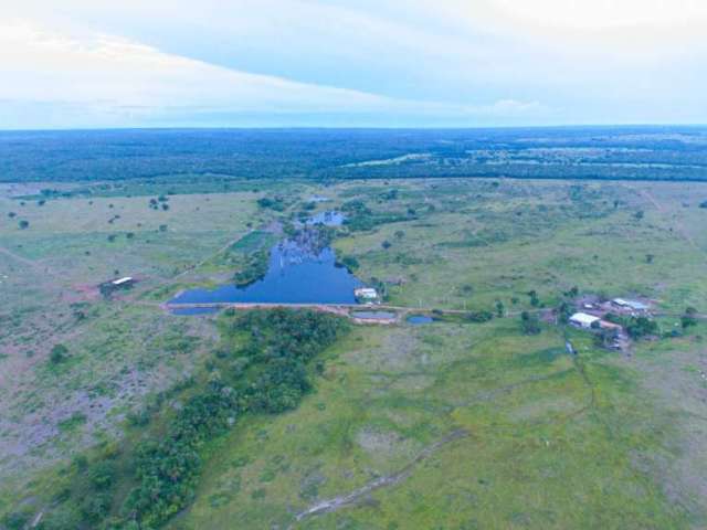 Fazenda dupla aptidão para venda na região de Aliança do Tocantins-TO com 1.338 hectares, boa de agua e benfeitorias, boa logística de escoamento